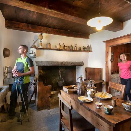 Hotel Edelweiss - Larespa