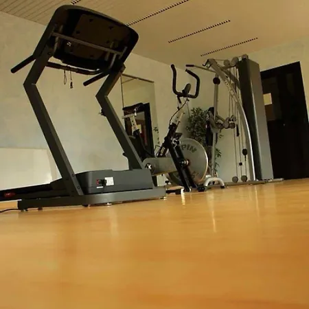 Hotel Edelweiss - Larespa 3*