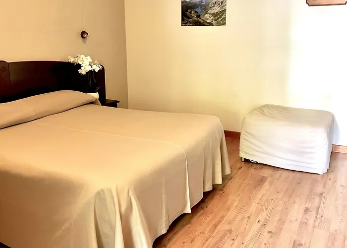 Hotel Edelweiss - Larespa Crodo